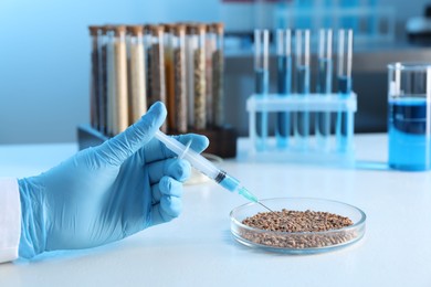 Photo of GMO concept. Scientist injecting something into buckwheat grains at white table in laboratory, closeup