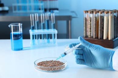 Photo of GMO concept. Scientist injecting something into buckwheat grains at white table in laboratory, closeup