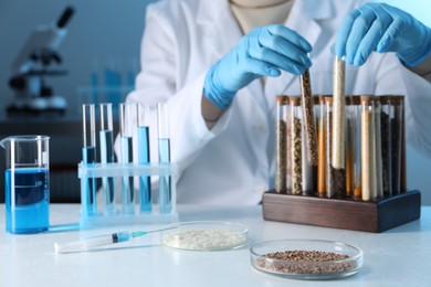 Photo of GMO concept. Scientist taking test tubes at table in laboratory, focus on petri dishes with cereal grains and syringe