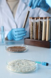 Photo of GMO concept. Scientist taking test tube at table in laboratory, focus on petri dish with rice grains and syringe