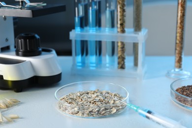 Photo of GMO concept. Petri dish with oat grains, syringe and microscope on white table in laboratory, closeup