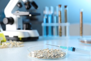 Photo of GMO concept. Petri dish with oat grains, syringe and microscope on white table in laboratory, closeup