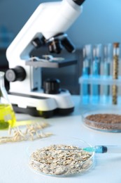 Photo of GMO concept. Petri dish with oat grains, syringe and microscope on white table in laboratory, closeup