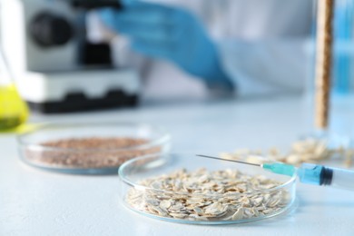 Photo of GMO concept. Scientist using microscope at table in laboratory, focus on petri dish with oat grains and syringe