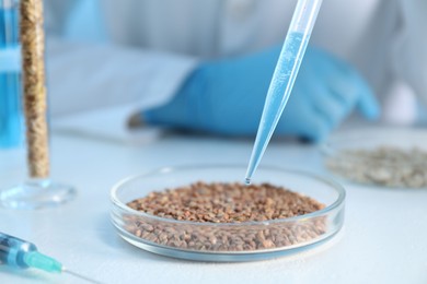 Photo of GMO concept. Scientist dripping something onto buckwheat grains at white table in laboratory, closeup