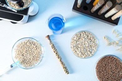 Photo of GMO concept. Petri dishes with cereal grains, syringe, beaker and test tubes on white table, flat lay