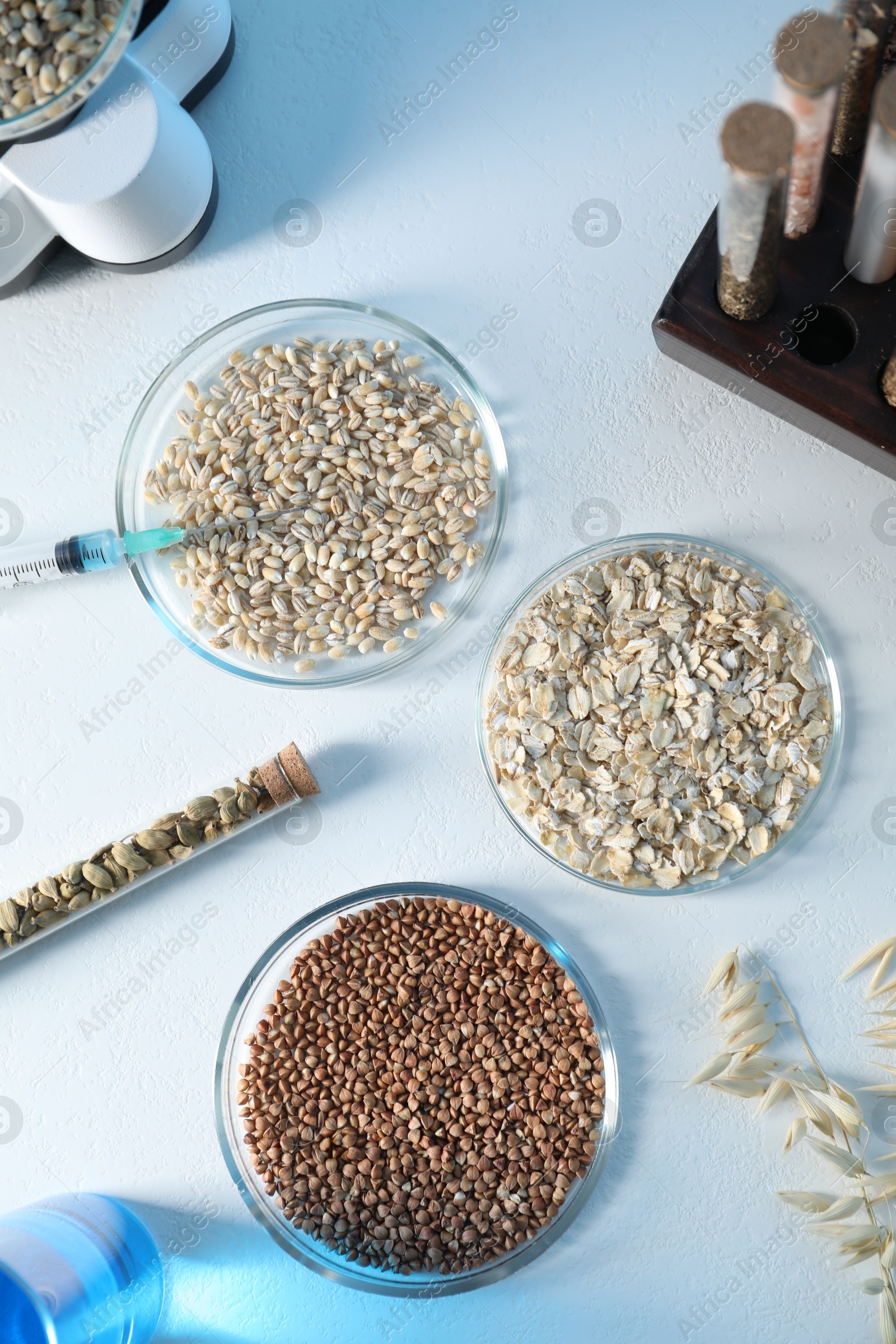 Photo of GMO concept. Petri dishes with cereal grains, syringe and test tubes on white table, flat lay