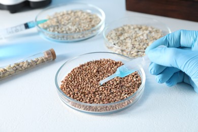 Photo of GMO concept. Scientist dripping something onto buckwheat grains at white table in laboratory, closeup