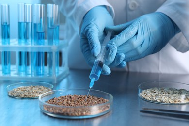 Photo of GMO concept. Scientist injecting something into buckwheat grains at table in laboratory, closeup