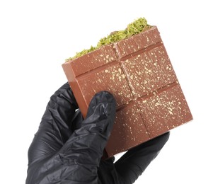 Photo of Woman holding piece of tasty Dubai chocolate bar with pistachios and knafeh on white background, closeup