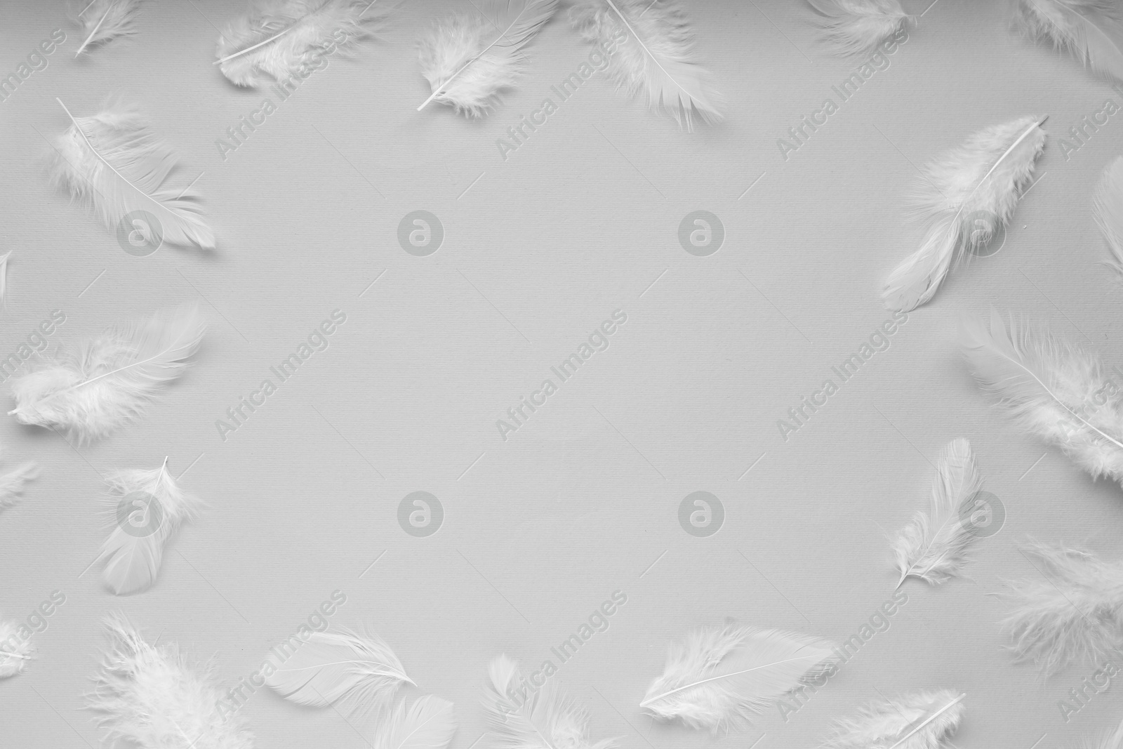 Photo of Frame of beautiful feathers on light grey background, flat lay. Space for text