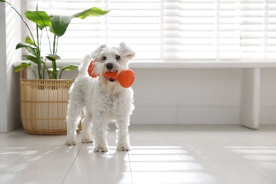 Photo of Cute dog with toy at home, space for text. Adorable pet