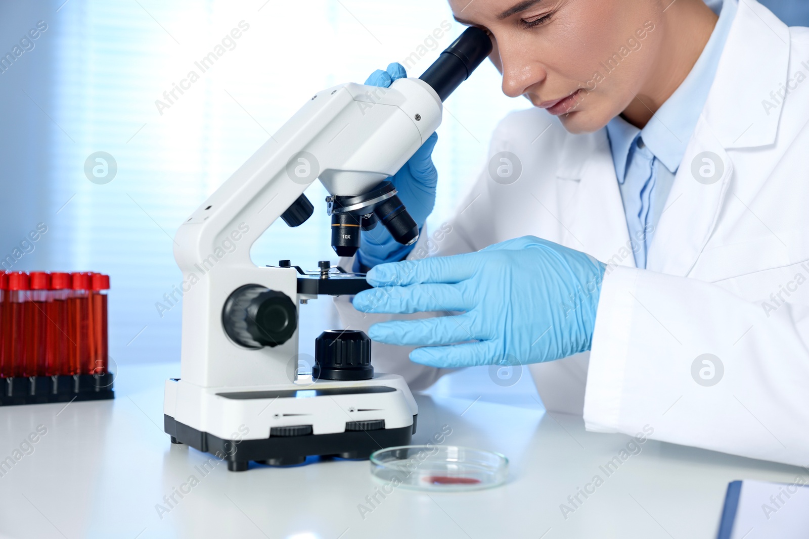 Photo of Laboratory testing. Doctor working with microscope at table indoors