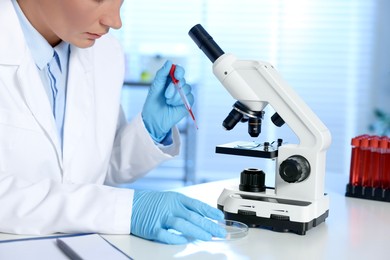 Photo of Laboratory testing. Doctor dripping blood sample into Petri dish at table indoors, closeup