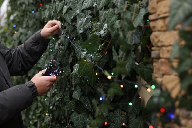 Photo of Man decorating plant with Christmas lights outdoors, closeup