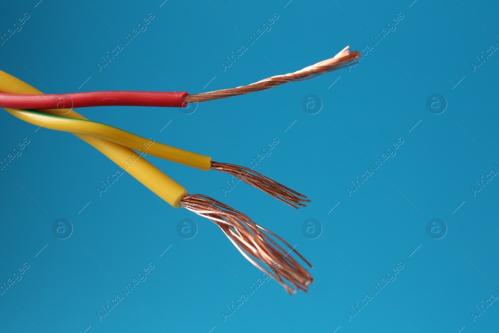 Photo of Stripped electrical wires with copper strands on light blue background, closeup