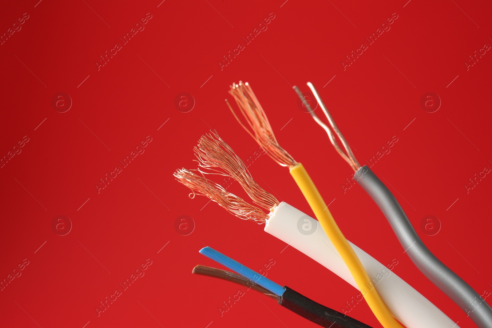 Photo of Stripped electrical wires with copper strands on red background, closeup. Space for text