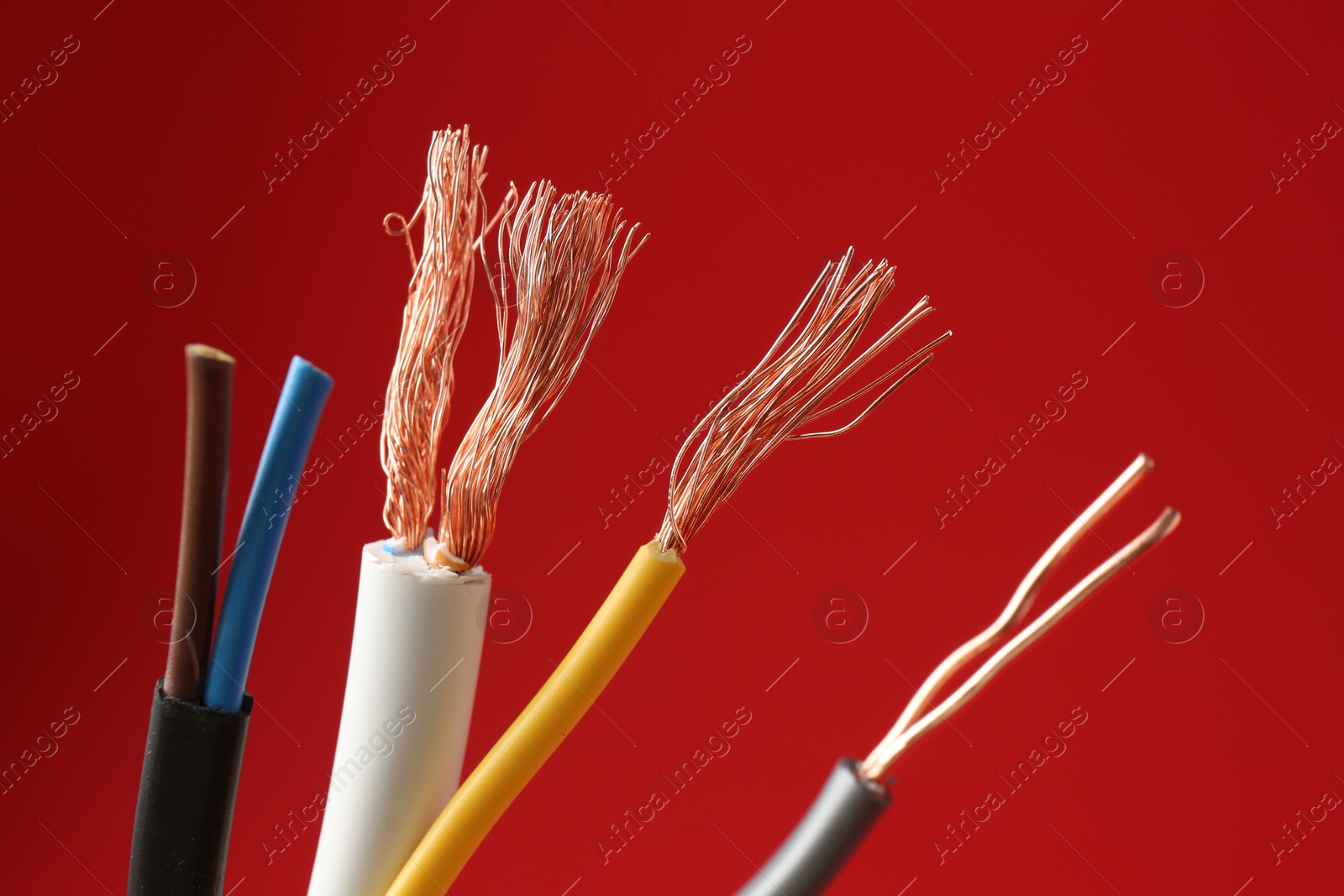 Photo of Stripped electrical wires with copper strands on red background, closeup