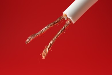 Photo of Stripped electrical wire with copper strands on red background, closeup