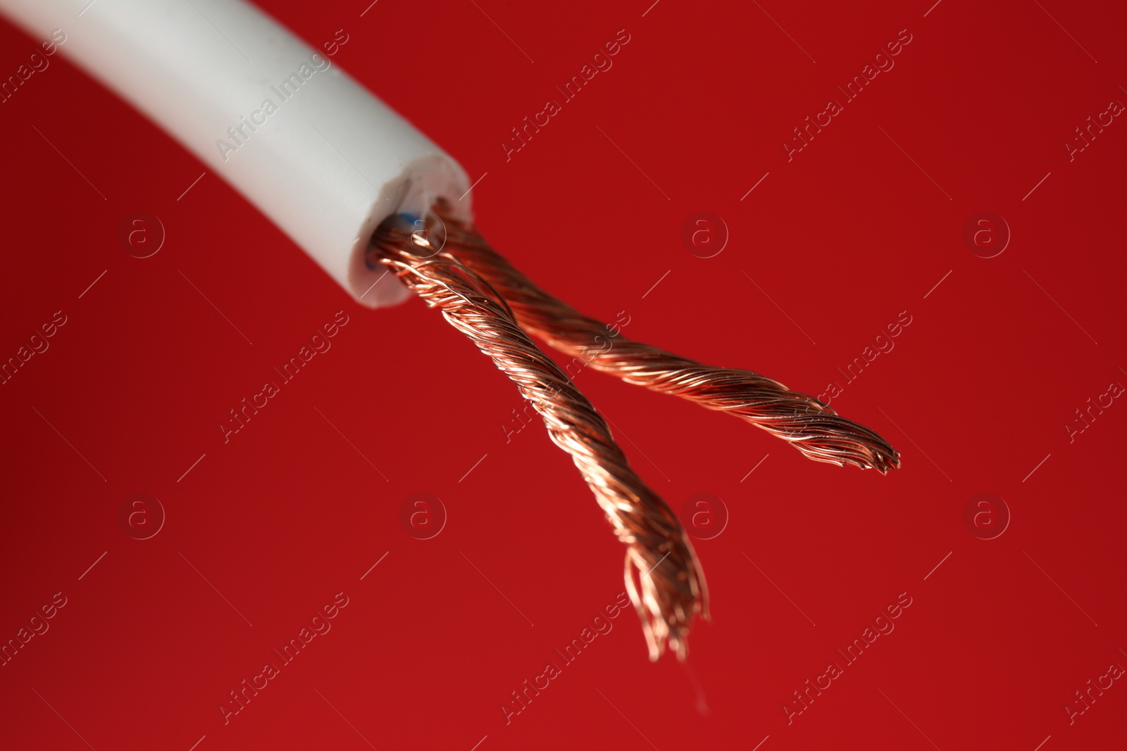 Photo of Stripped electrical wire with copper strands on red background, closeup