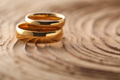 Photo of Beautiful golden wedding rings on tree stump, closeup