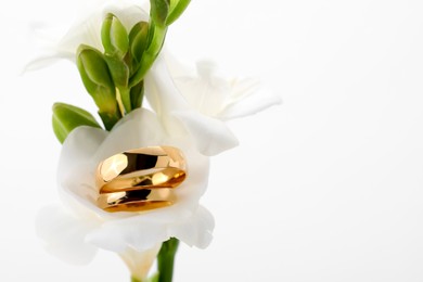 Photo of Golden wedding rings and flowers on white background, closeup. Space for text