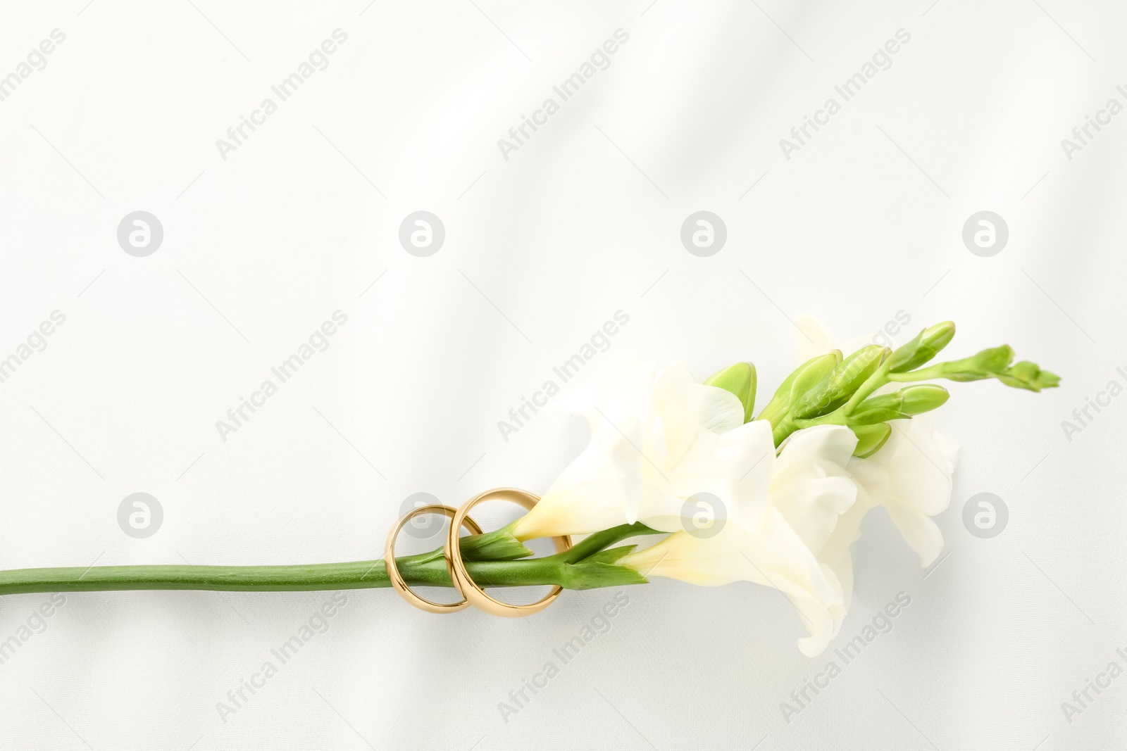 Photo of Golden wedding rings and flowers on white fabric, top view