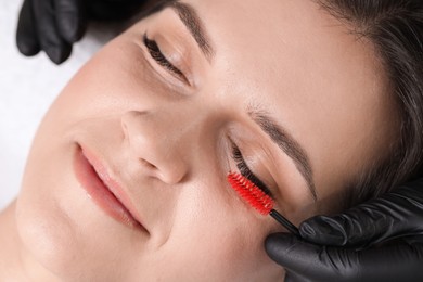 Photo of Eyelash extension procedure. Esthetician combing woman's lashes with brush in beauty salon, closeup