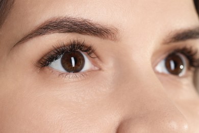 Photo of Woman with beautiful long eyelashes, closeup. Eyelash extension procedure