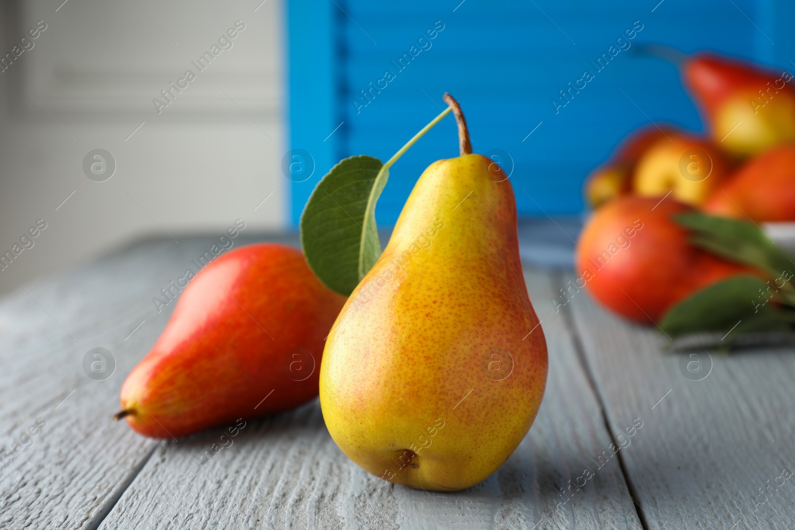 Photo of Ripe juicy pears on grey wooden table, selective focus