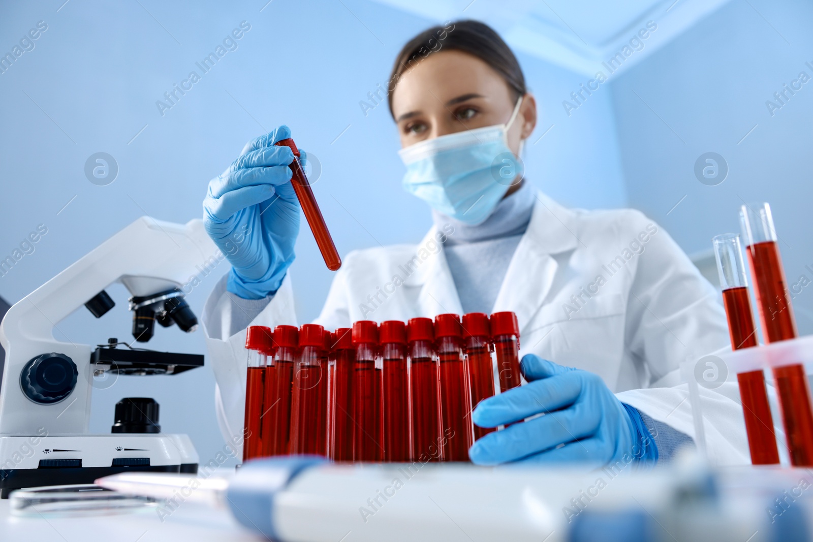 Photo of Laboratory testing. Doctor taking test tube with blood sample at table indoors, low angle view