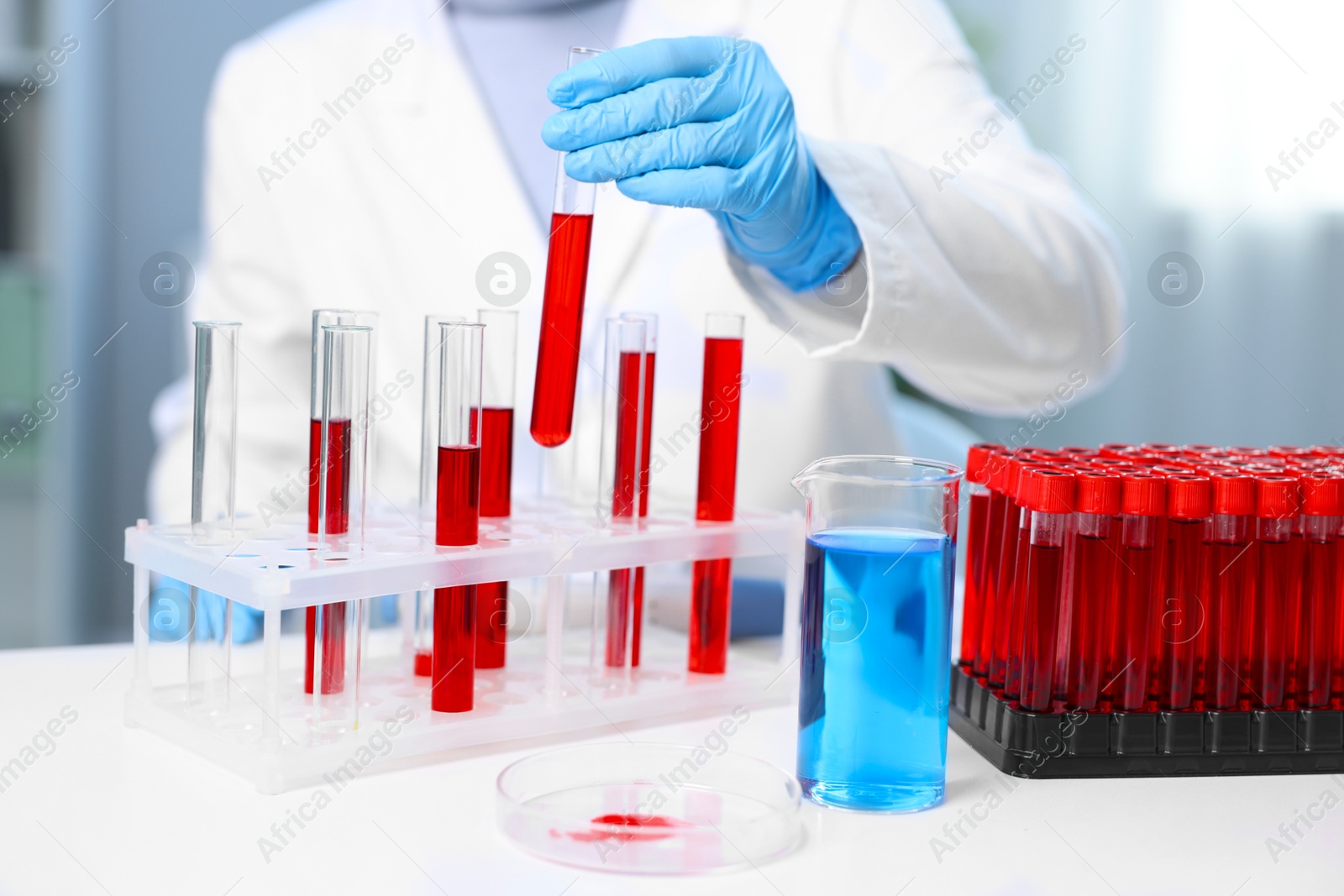 Photo of Laboratory testing. Doctor taking test tube with blood sample from rack indoors, closeup