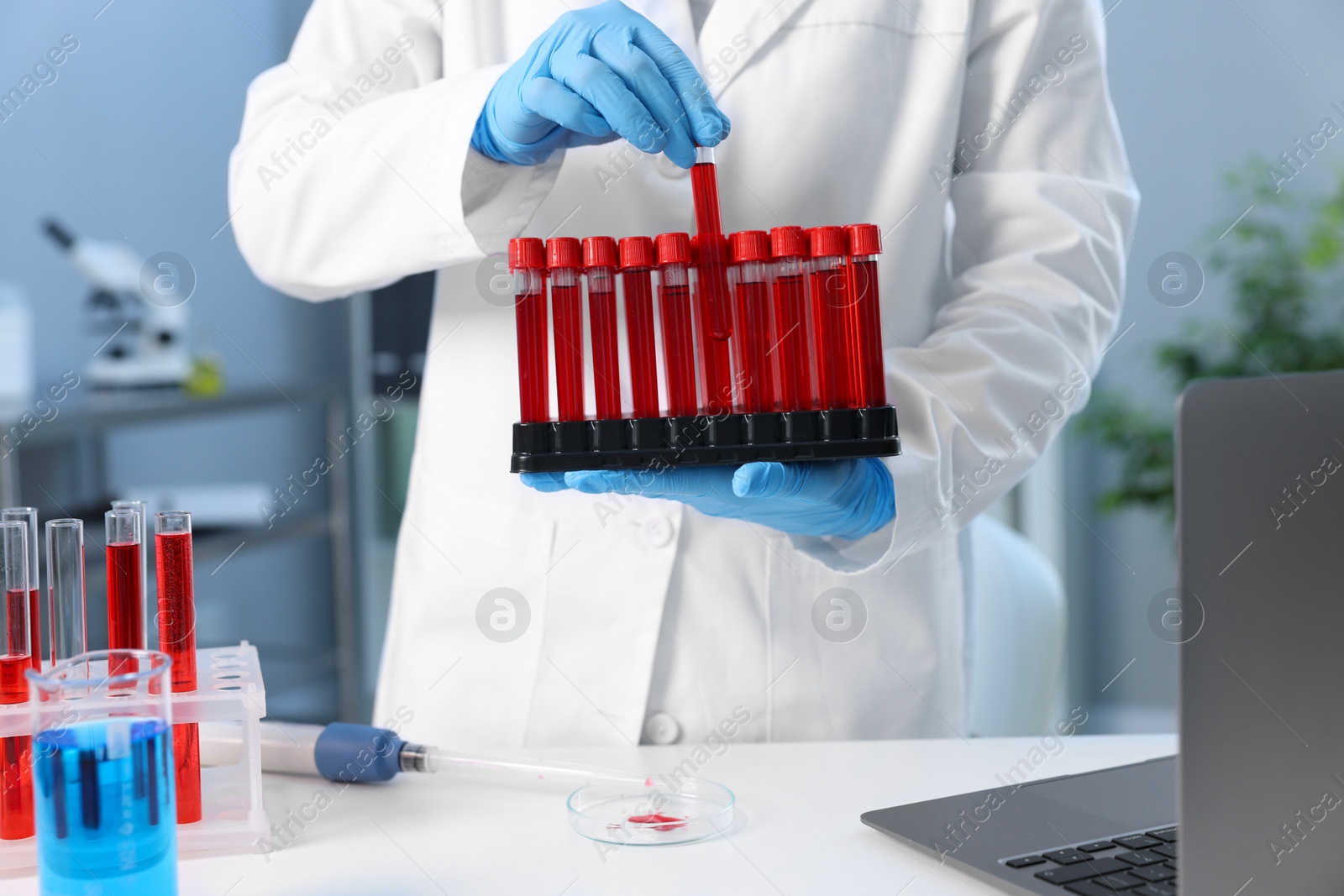 Photo of Laboratory testing. Doctor with blood samples in tubes indoors, closeup