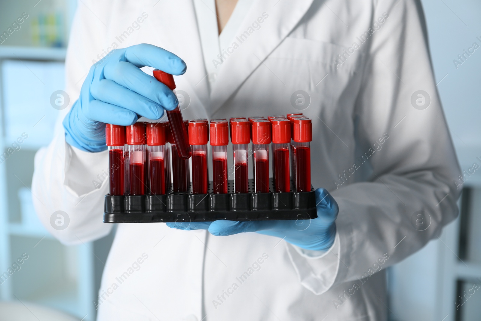 Photo of Laboratory testing. Doctor taking test tube with blood sample from rack indoors, closeup