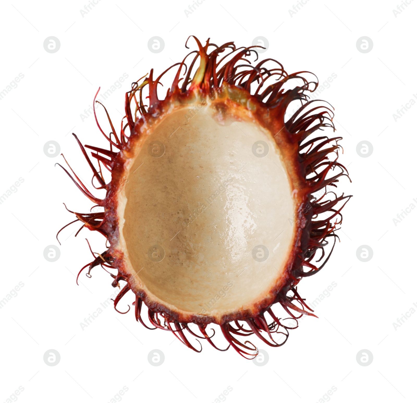 Photo of Shell of rambutan isolated on white. Exotic fruit