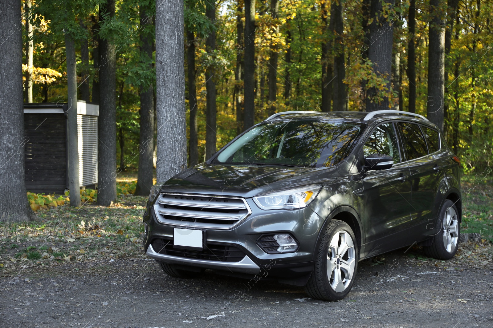 Photo of Modern car parked near forest. Autumn season