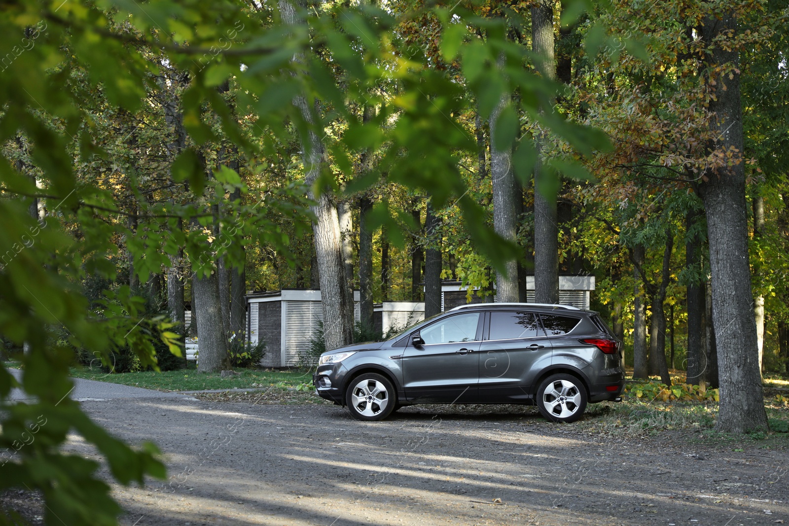 Photo of Modern car parked near forest. Autumn season