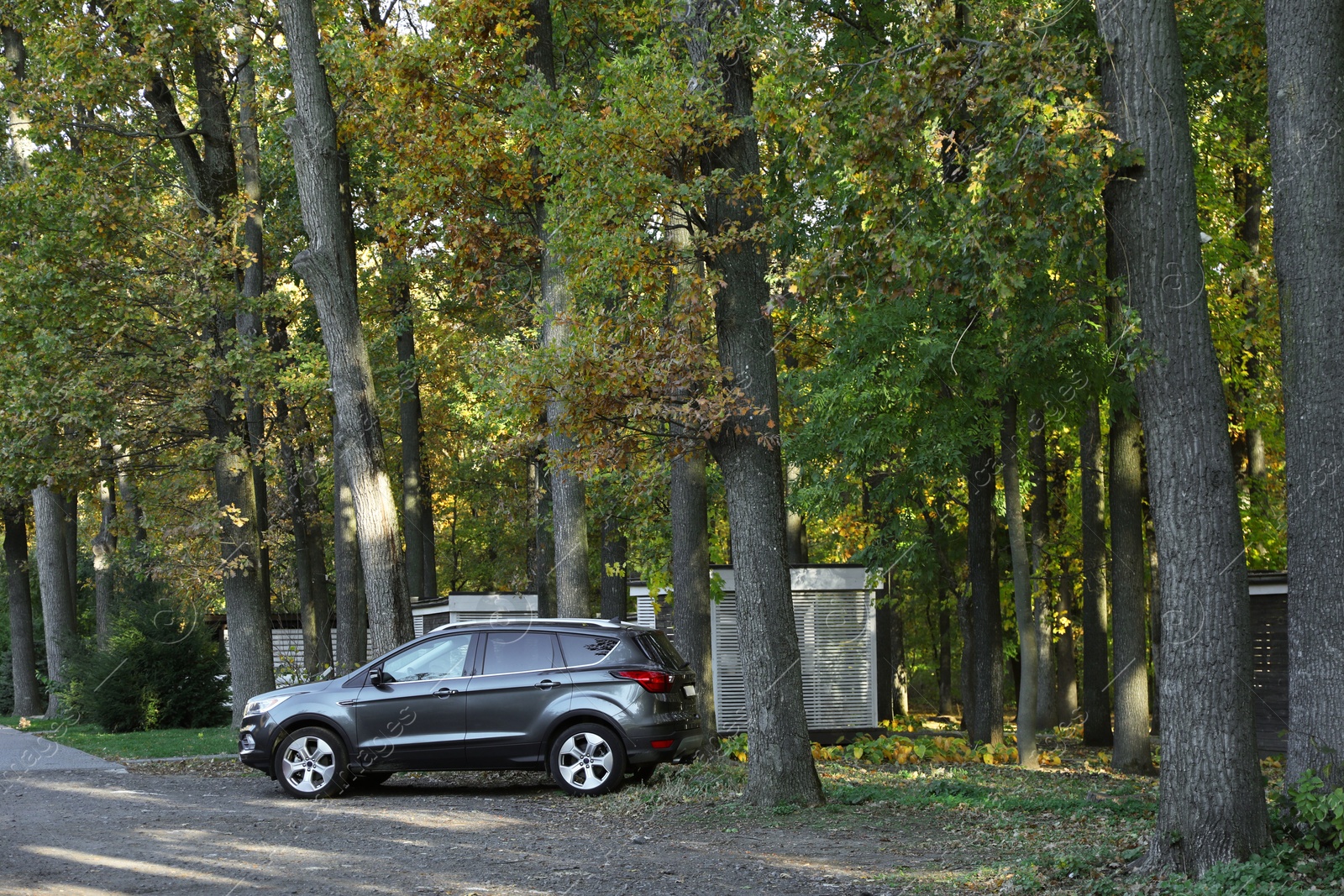 Photo of Modern car parked near forest. Autumn season