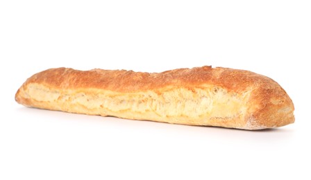 Photo of One freshly baked baguette isolated on white