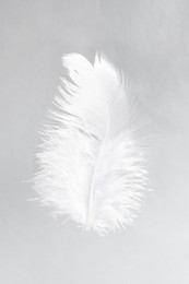 Photo of One white feather on light grey background