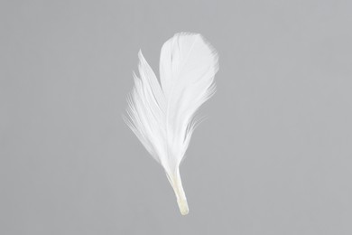 Photo of One white feather on light grey background