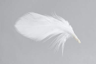 Photo of One white feather on light grey background