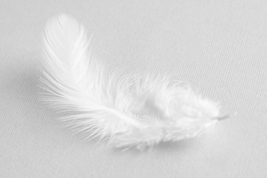 Photo of One white feather on light grey background, closeup