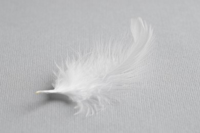 Photo of One white feather on light grey background, closeup