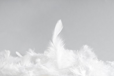 Photo of Beautiful white feathers on grey background, closeup