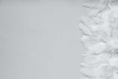 Photo of Beautiful feathers on light grey background, flat lay. Space for text