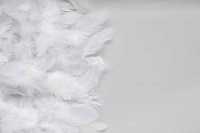 Photo of Beautiful feathers on light grey background, flat lay. Space for text