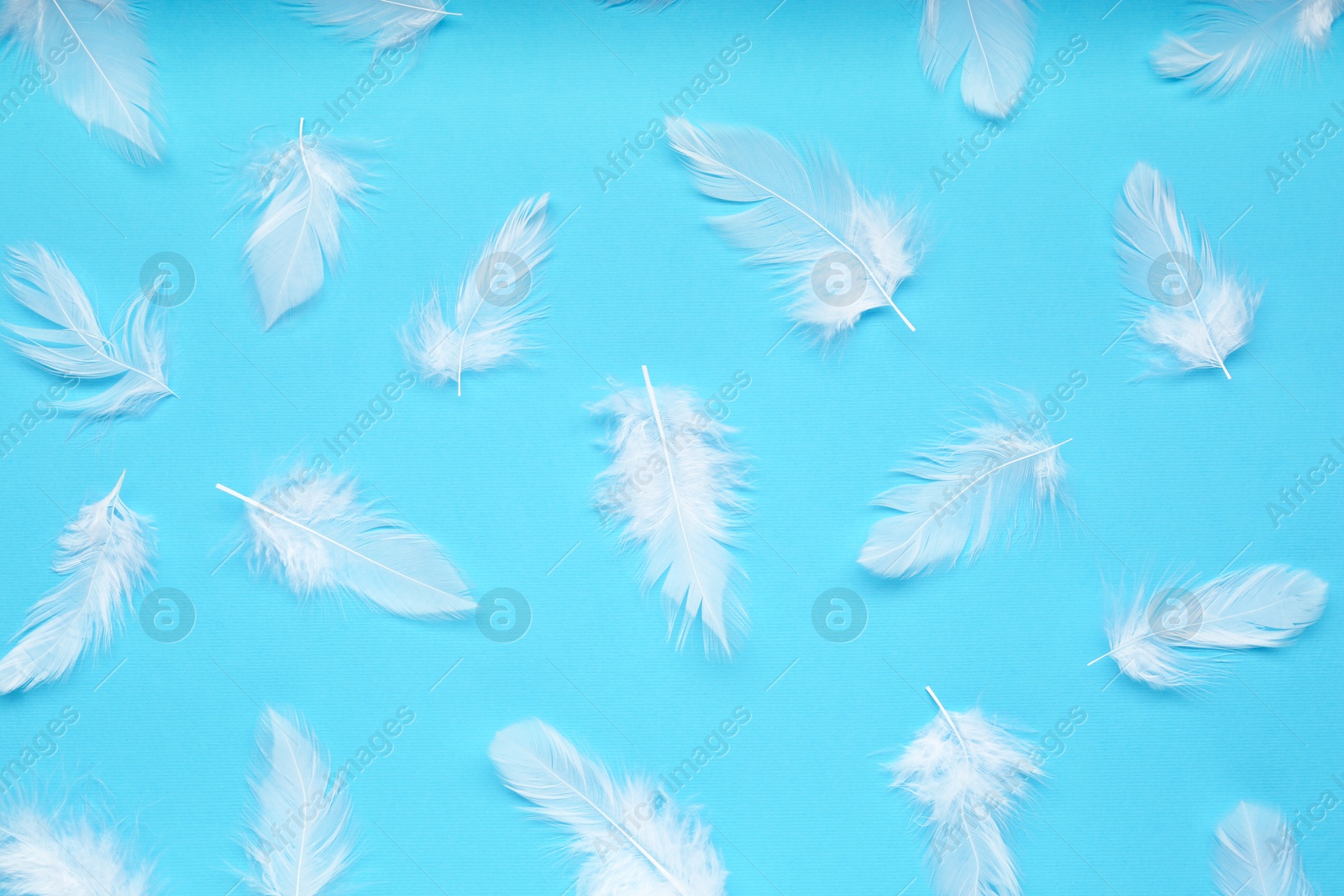 Photo of Beautiful feathers on light blue background, flat lay