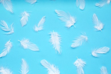 Photo of Beautiful feathers on light blue background, flat lay