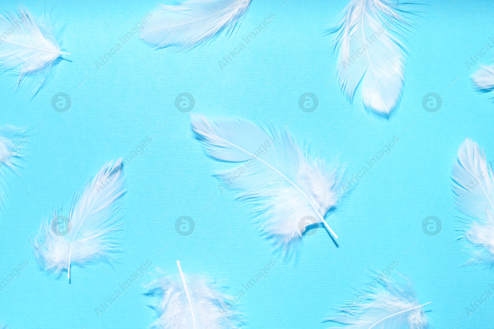 Photo of Beautiful feathers on light blue background, flat lay